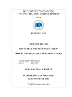 Tài liệu luận văn Giải Pháp Thu Hút Đầu Tư Trực Tiếp Nước Ngoài Sạch