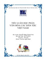 TIỂU LUẬN TÌM HIỂU GIÁ TRỊ VĂN HÓA CỦA NGƯỜI H’MÔNG TRONG PHÁT TRIỂN DU LỊCH Ở SAPA HIỆN NAY