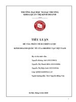 TIỂU LUẬN PHÂN TÍCH CHIẾN LƯỢC KINH DOANH QUỐC TẾ CỦA SHOPEE TẠI VIỆT NAM