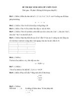DE THI HSG MON TOAN TV LOP 4 5