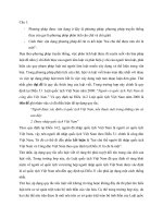 tiểu luận số 5 về luật thương mại quốc tế luật thương mại quốc tế luật thương mại quốc tế