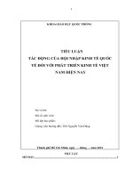 TIỂU LUẬN TÁC ĐỘNG CỦA HỘI NHẬP KINH TẾ QUỐC TẾ ĐỐI VỚI PHÁT TRIỂN KINH TẾ VIỆT NAM HIỆN NAY