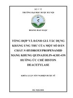HOÀNG bảo NGỌC TỔNG hợp và ĐÁNH GIÁ tác DỤNG KHÁNG UNG THƯ của một số dẫn CHẤT n HYDROXYPROPENAMID MANG KHUNG QUINAZOLIN 4(3h) ON HƯỚNG ức CHẾ HISTON DEACETYLASE KHÓA LUẬN tốt NGHIỆP dược sỹ 
