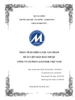 TIỂU LUẬN PHÂN TÍCH CHIẾN LƯỢC SẢN PHẨM MÌ ĂN LIỀN HẢO HẢO THUỘC CÔNG TY CỔ PHẦN ACECOOK VIỆT NAM