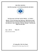 Tiêu luận: Nêu các thủ đoạn trong chiến lược “Diễn biến hòa bình”, bạo loạn lật đổ của các thế lực thù địch chống phá cách mạng Việt Nam hiện nay?