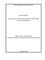 BOI DUONG THEO TIEU CHUAN CHUC DANH NGHE NGHIEP GIAO VIEN THCS HANG II