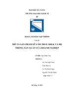 TIỂU LUẬN MÔ TẢ SẢN PHẨM SỮA TH TRUE MILK VÀ HỆ THỐNG SẢN XUẤT CỦA DOANH NGHIỆP