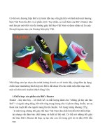 TIỂU LUẬN CHIẾN LƯỢC VÀ CHIẾN THUẬT CỦA SẢN PHẨM BITI’S HUNTER