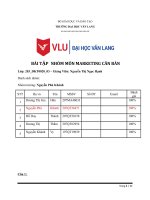 TIỂU LUẬN MARKETING CĂN BẢN CÔNG TY TH TRUE MILK