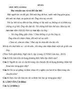 ĐỀ BÀI THI THỬ