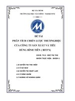 TIỂU LUẬN PHÂN TÍCH CHIẾN LƯỢC THƯƠNG HIỆU CỦA CÔNG TY SẢN XUẤT VÀ TIÊU DÙNG BÌNH TIÊN BITI’S