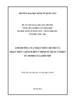 NGHIÊN CỨU KHOA HỌC ẢNH HƯỞNG CỦA NHẬN THỨC RỦI RO VÀ NHẬN THỨC LỢI ÍCH ĐẾN Ý ĐỊNH SỬ DỤNG VÍ ĐIỆN TỬ MOMO CỦA GIỚI TRẺ