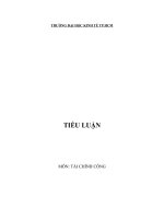 Tiểu luận ảnh hưởng của thuế và lợi ích đối với thu nhập hộ gia đình  