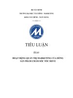TIỂU LUẬN HOẠT ĐỘNG QUẢN TRỊ MARKETING CỦA DÒNG SẢN PHẨM CHĂM SÓC TÓC DOVE