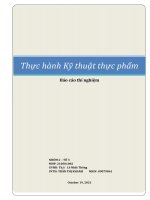 Báo cáo thí nghiệm thực hành kỹ thuật thực phẩm 