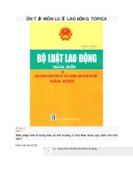 law113 ôn tập luật lao động TOPICA