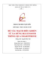 BÁO CÁO BÀI TẬP LỚN MÔN HỌC: THỰC HÀNH CƠ SỞ: MẠCH ĐIỀU KHIỂN TỪ XA DÙNG BLUETOOTH THÔNG QUA SMARTPHONE
