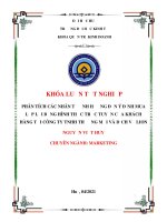 Phân tích các nhân tố ảnh hưởng đến ý định mua sắm lặp lại bằng hình thức trực tuyến của khách hàng tại công ty TNHH thương mại và dịch vụ lion 