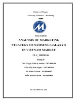 ANALYSIS OF MARKETING STRATEGY OF SAMSUNG GALAXY s IN VIETNAM MARKET 