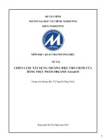 CHIẾN LƯỢC XÂY DỰNG THƯƠNG HIỆU CHO CHUỖI CỬA HÀNG THỰC PHẨM ORGANIC GreenGO