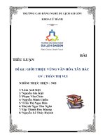 TIỂU LUẬN VĂN HÓA VÙNG TÂY BẮC _ N02