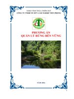 PHƯƠNG ÁN QUẢN LÝ RỪNG BỀN VỮNG