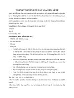 TỔNG QUAN NGÀNH SƠN NƯỚC THÔNG TIN CHUNG VỀ CÁC LOẠI SƠN NƯỚC