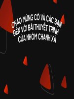 LỊCH SỬ HÌNH THÀNH DOANH NGHIỆP VINFAST (POWERPOINT - 2022)