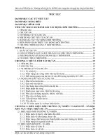 Báo cáo ĐTM Dự án “Đường nối từ QL1A, ĐT609 vào trung tâm xã ngập lụt, huyện Điện Bàn”