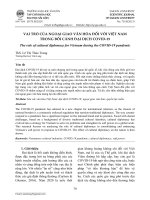 VAI TRÒ CỦA NGOẠI GIAO VĂN HÓA ĐỐI VỚI VIỆT NAM  TRONG BỐI CẢNH ĐẠI DỊCH COVID-19
