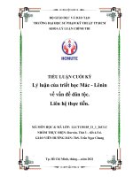 TIỂU LUẬN CUỐI KỲ lý luận của triết học mác   lênin về vấn đề dân tộc  liên hệ thực tiễn 