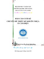 Báo cáo cuối kì chuyên đề thiết kế khuôn nhựa ổ cắm điện