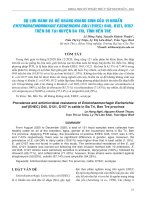 Sự lưu hành và đề kháng kháng sinh của vi khuẩn Enterohaemorrhagic Escherichia coli (EHEC) O45, O121, O157 trên bò tại huyện Ba Tri, tỉnh Bến Tre