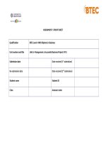 491 Managing a Successful Business Project  ASSIGNMENT 1