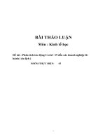 Phân tích tác động Covid –19 đến các doanh nghiệp lữ hành ( du lịch )