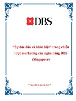 TIỂU LUẬN SỰ ĐỘC ĐÁO VÀ KHÁC BIỆT TRONG CHIẾN LƯỢC MARKETING CỦA NGÂN HÀNG DBS SINGAPORE