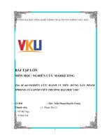TIỂU LUẬN NGHIÊN CỨU MARKETING NGHIÊN CỨU HÀNH VI TIÊU DÙNG SẢN PHẨM IPHONE CỦA SINH VIÊN TRƯỜNG ĐẠI HỌC VKU
