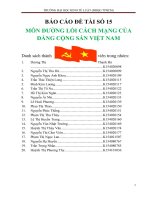 MÔN ĐƯỜNG LỐI CÁCH MẠNG CỦAĐẢNG CỘNG SẢN VIỆT NAM