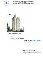 TIỂU LUẬN PHÂN TÍCH TÀI CHÍNH DOANH NGHIỆP CÔNG TY CỔ PHẦN TẬP ĐOÀN ĐẤT XANH