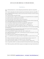 DAP AN 22 CAU HI CHINH TR t TNG h 