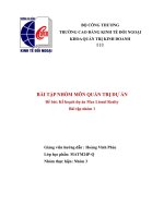 TIỂU LUẬN QUẢN TRỊ DỰ ÁN KẾ HOẠCH DỰ ÁN MAX LIONEL REALTY