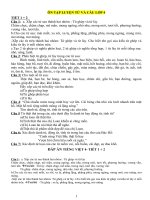 ÔN tập LUYỆN từ và câu lớp 4 (có đáp án)