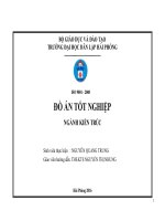 Đồ án bảo tồn và tôn tạo di tích chùa phúc linh 