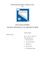 TIỂU LUẬN THỊ TRƯỜNG VÀ CÁC ĐỊNH CHẾ TÀI CHÍNH TẠI VIỆT NAM