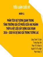 PHÂN TÍCH SỰ TƯƠNG QUAN TRONG TĂNG TRƯỞNG GIÁ CỔ PHIẾU GIỮA HAI NGÀNH THÉP  VẬT LIỆU XÂY DỰNG GIAI ĐOẠN 2016 – 2020 VÀ DỰ BÁO GIÁ TRONG TƯƠNG LAI 