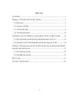 tiểu luận môn văn hóa đa quốc gia