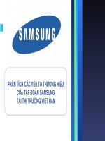 PHÂN TÍCH CÁC YẾU TỐ THƯƠNG HIỆU CỦA TẬP ĐOÀN SAMSUNG TẠI THỊ TRƯỜNG VIỆT NAM