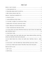 Skkn  Vận dụng giáo dục stem vào dạy học hóa học ở trường THCS