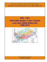 BÁO CÁO TÌNH HÌNH QUẢN LÝ QUY HOẠCH LƯU VỰC SÔNG ĐỒNG NAI NĂM 2010