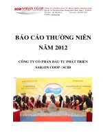 BAO CAO THNG NIEN NAM 2012 CONG TY c 